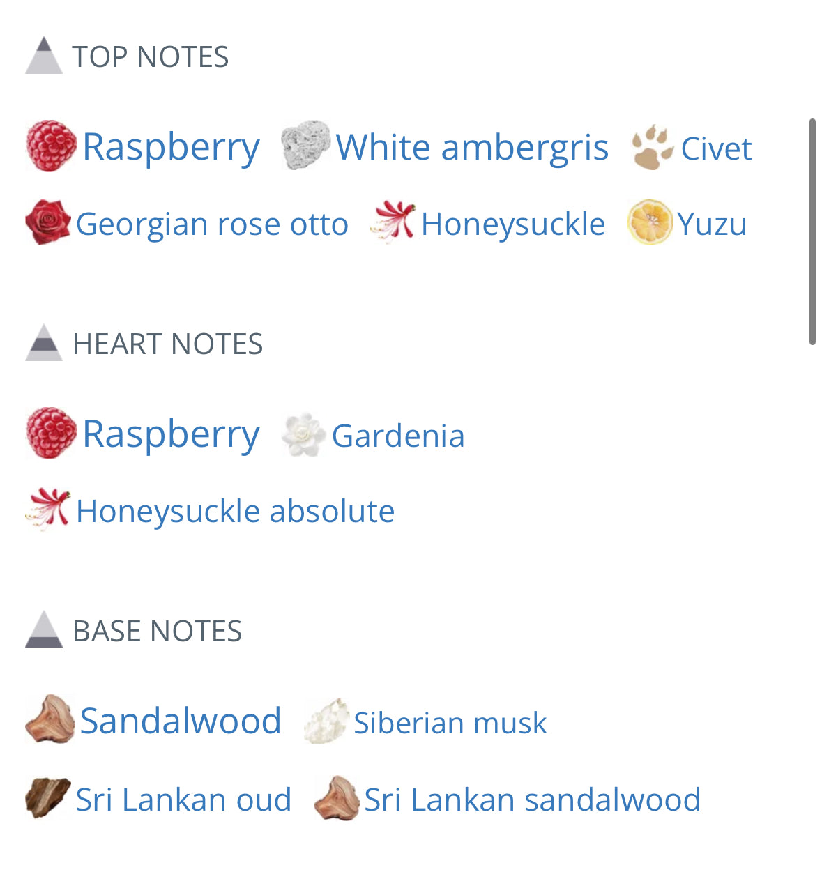 Lost Tribe The Hamptons